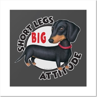 Awesome Doxie Dog posing with attitude on Black Dachshund with Red Collar Posters and Art